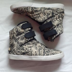 Supra Society Sneaker Snake Skin High Tops Revolve